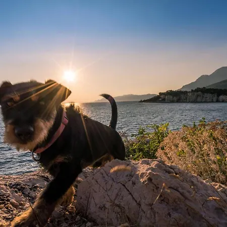 Ivanda Макарска